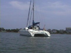 cosmos2.jpg (8218 bytes)