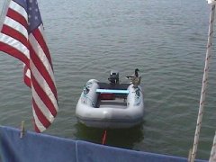 cosmos4.jpg (11493 bytes)