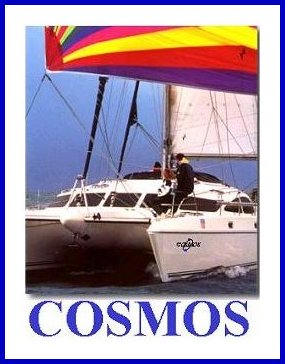Cosmos Picture