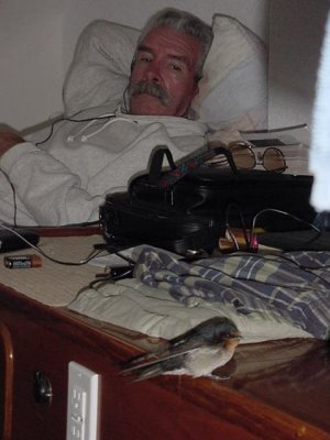 GeorgeAndNewCrewMember.jpg (23486 bytes)